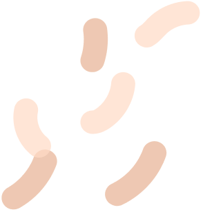 Bacterial