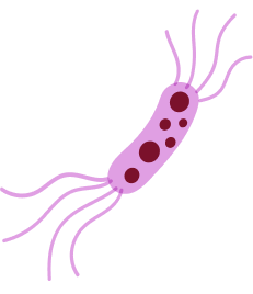 Parasitic