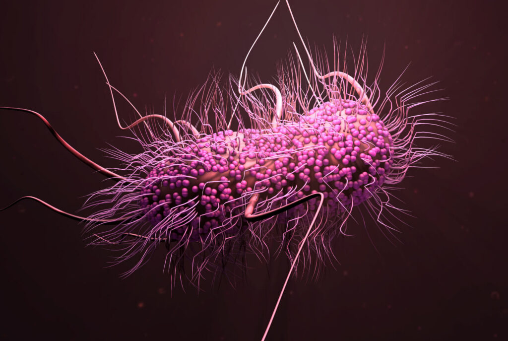 How Antimicrobials Work: Mechanisms of Action, Strengths, and Vulnerabilities