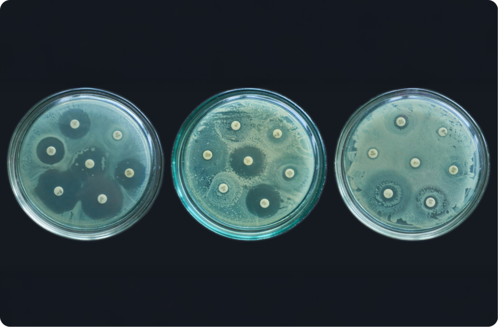 Antibiotic Resistance as an Evolutionary System: Toward Smarter Stewardship Strategies