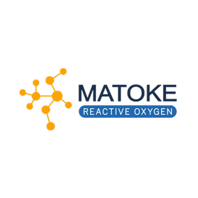 Matoke Holdings Limited