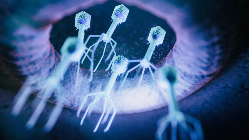 Is Phage Therapy Becoming an Engineering Discipline?