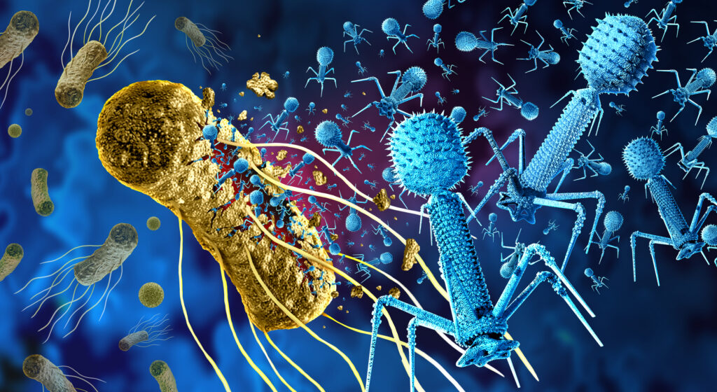 What If the Gut Could Produce a Phage Before the Pathogen Arrives?