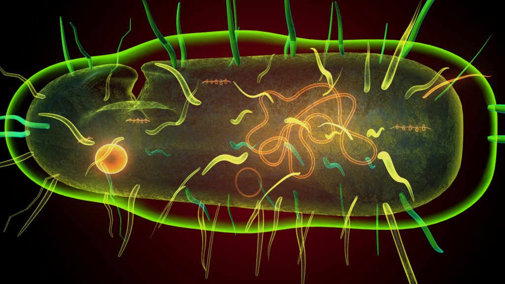 What If Better Antibiotics Begin with Better Drug Entry?