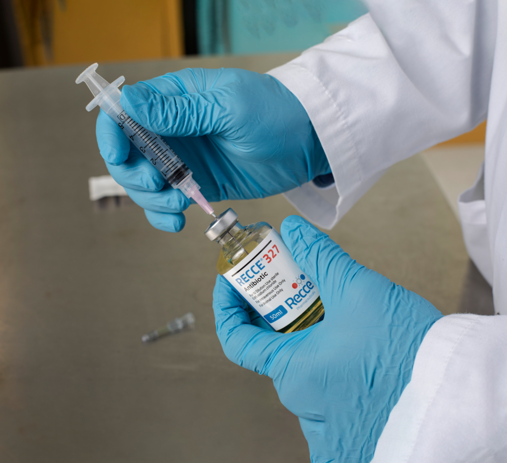 Building a Commercial Path for a New Antibacterial Platform