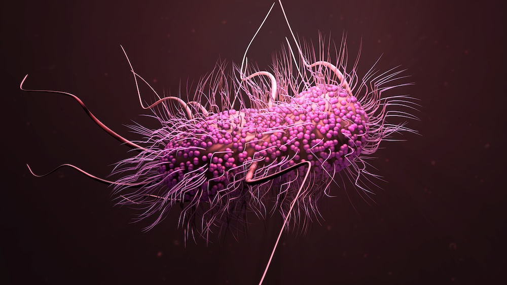 Can Antibiotic Developers Design for Resistance Before It Emerges?